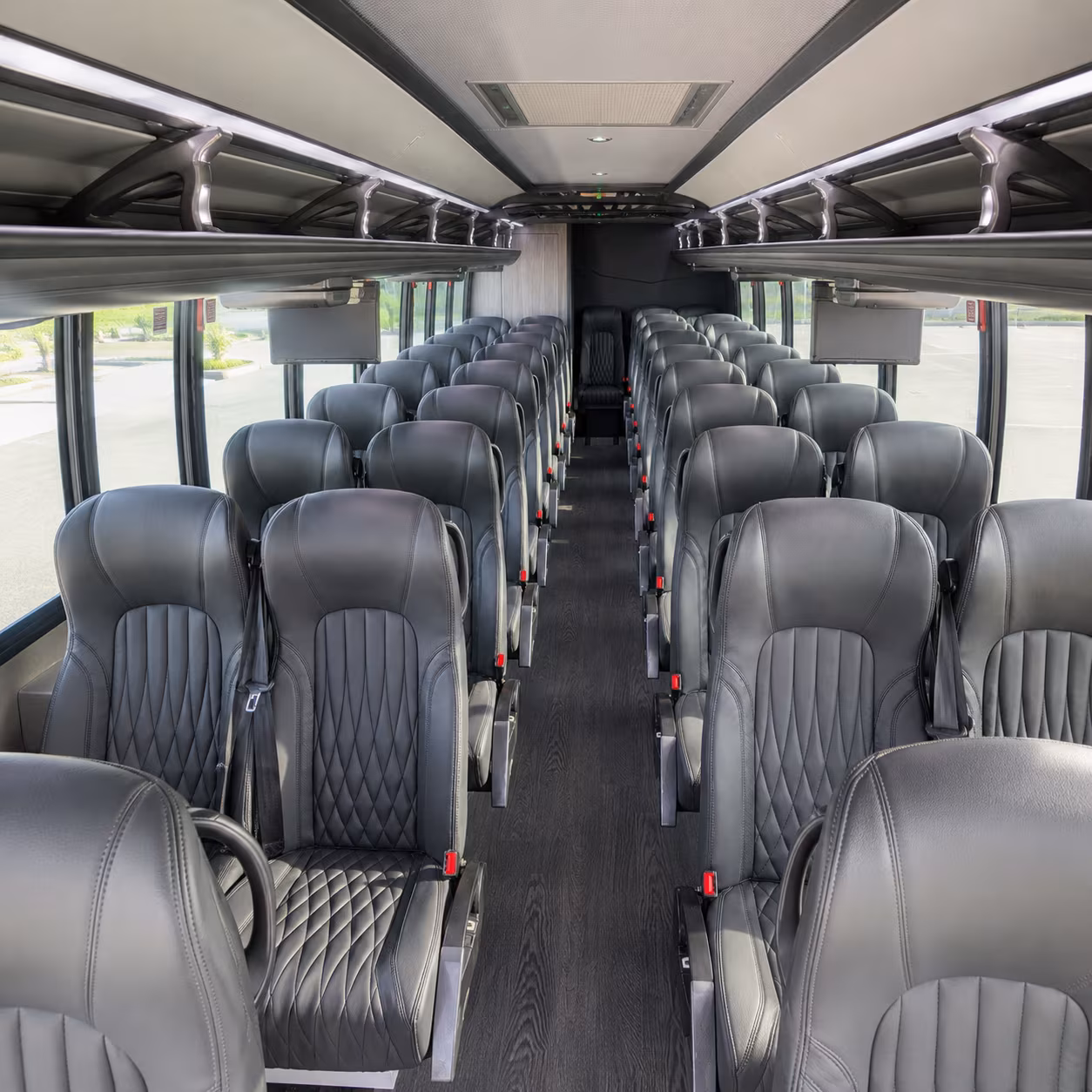 minibuses and charter buses for busch gardens and zoo tampa field trips