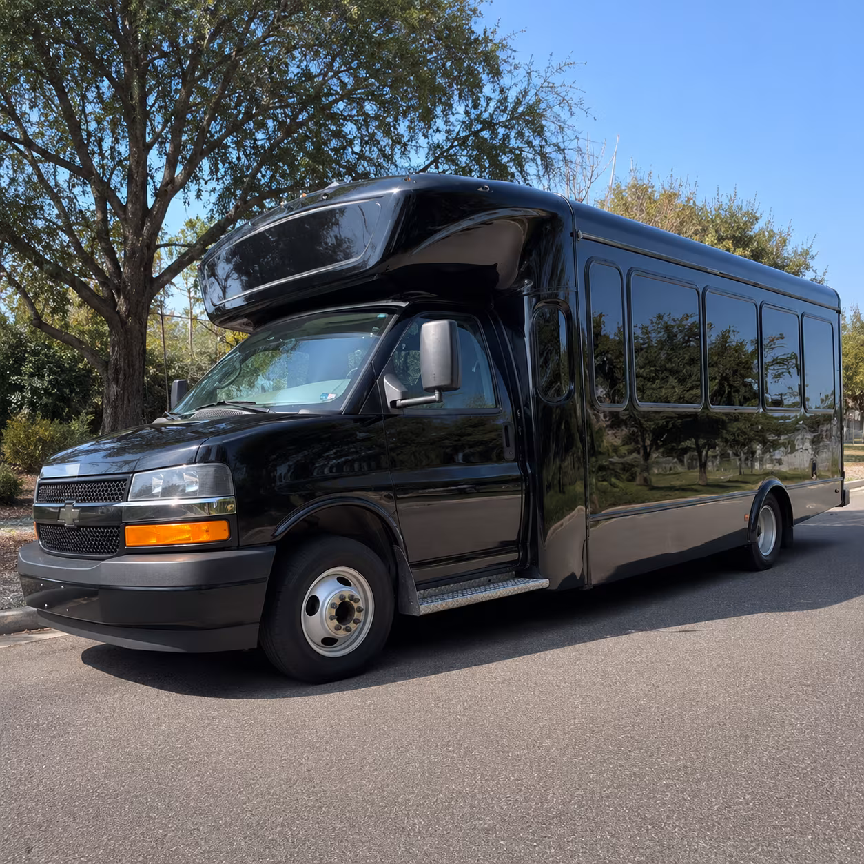 party buses to tampa bay rays games at tropicana field