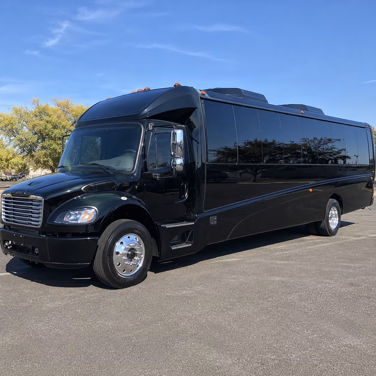 tampa 20 passenger minibus