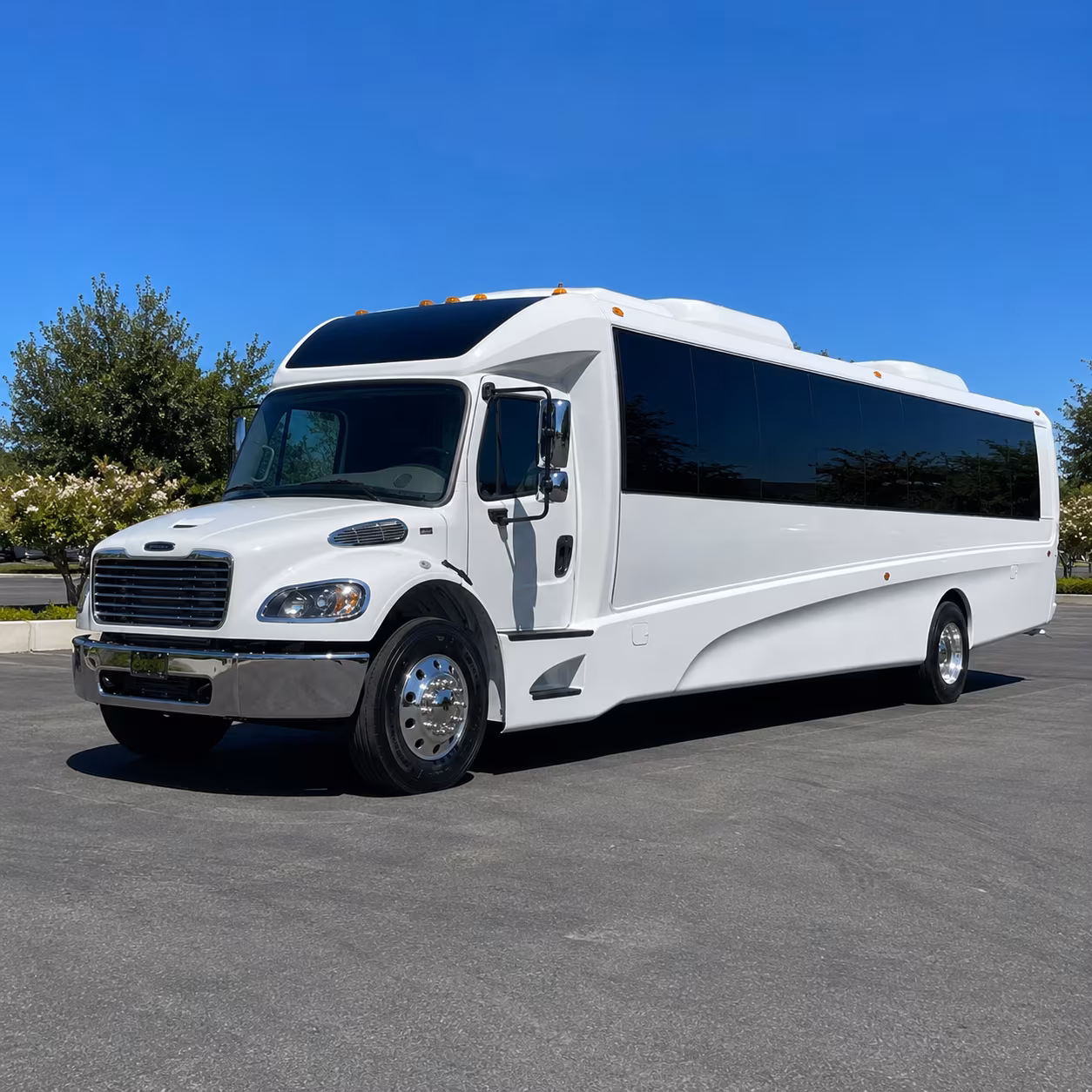 tampa 25 passenger minibus