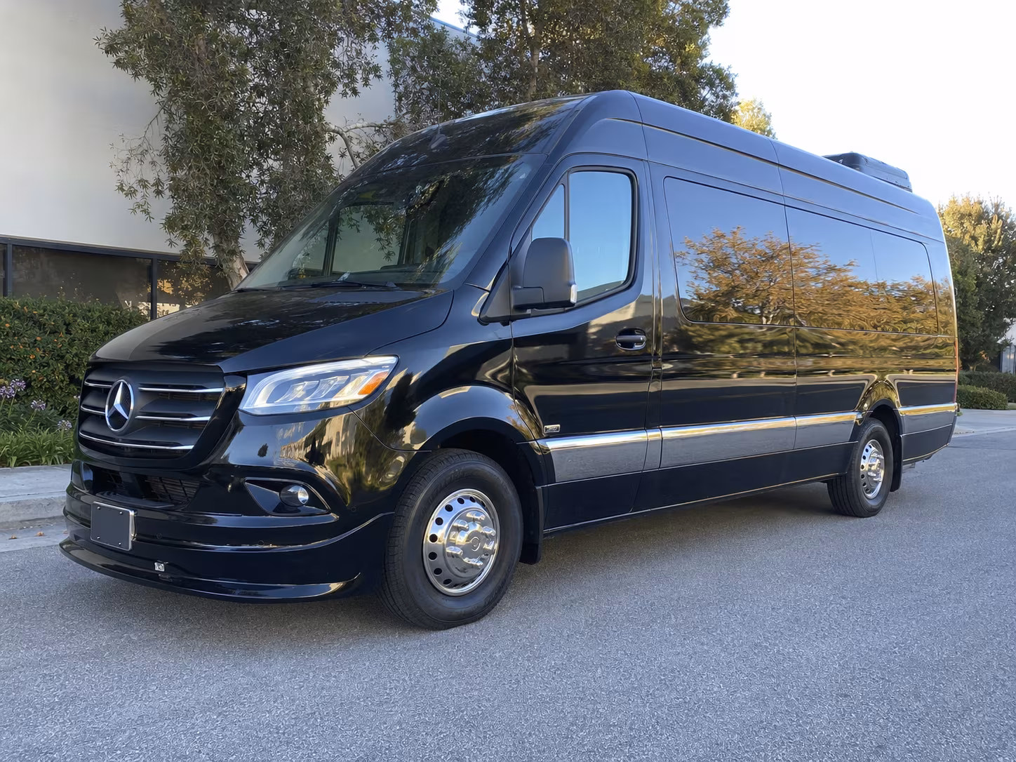 tampa sprinter van with driver